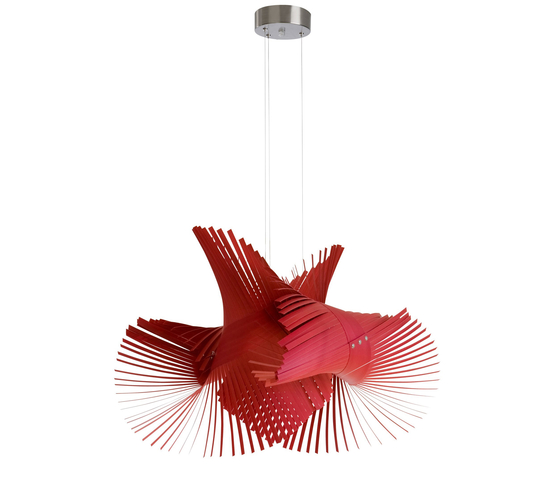 Mini Mikado Pendelleuchte Luzifer Lamps