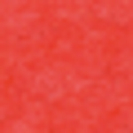 koralle