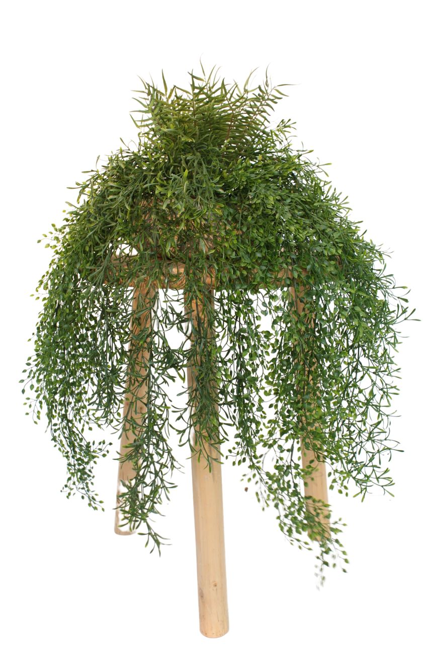 Manaus Hanging plants (Herabhngende Pflanze) Kunstpflanze Tanaman |  TANAMAN A AIR TOMB