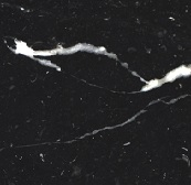 B 100 x T 100 x H 25 cm / Tischplatte Nero Marquina 