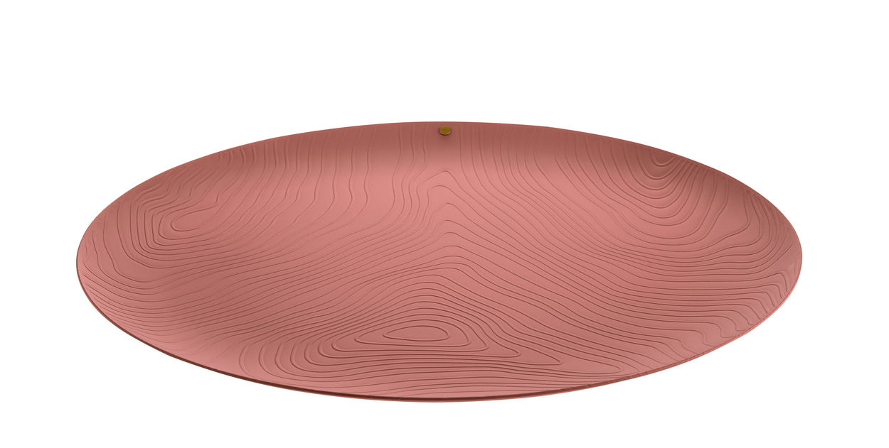 PU07 Veneer Tablett Edelstahl Alessi EINZELSTÜCK