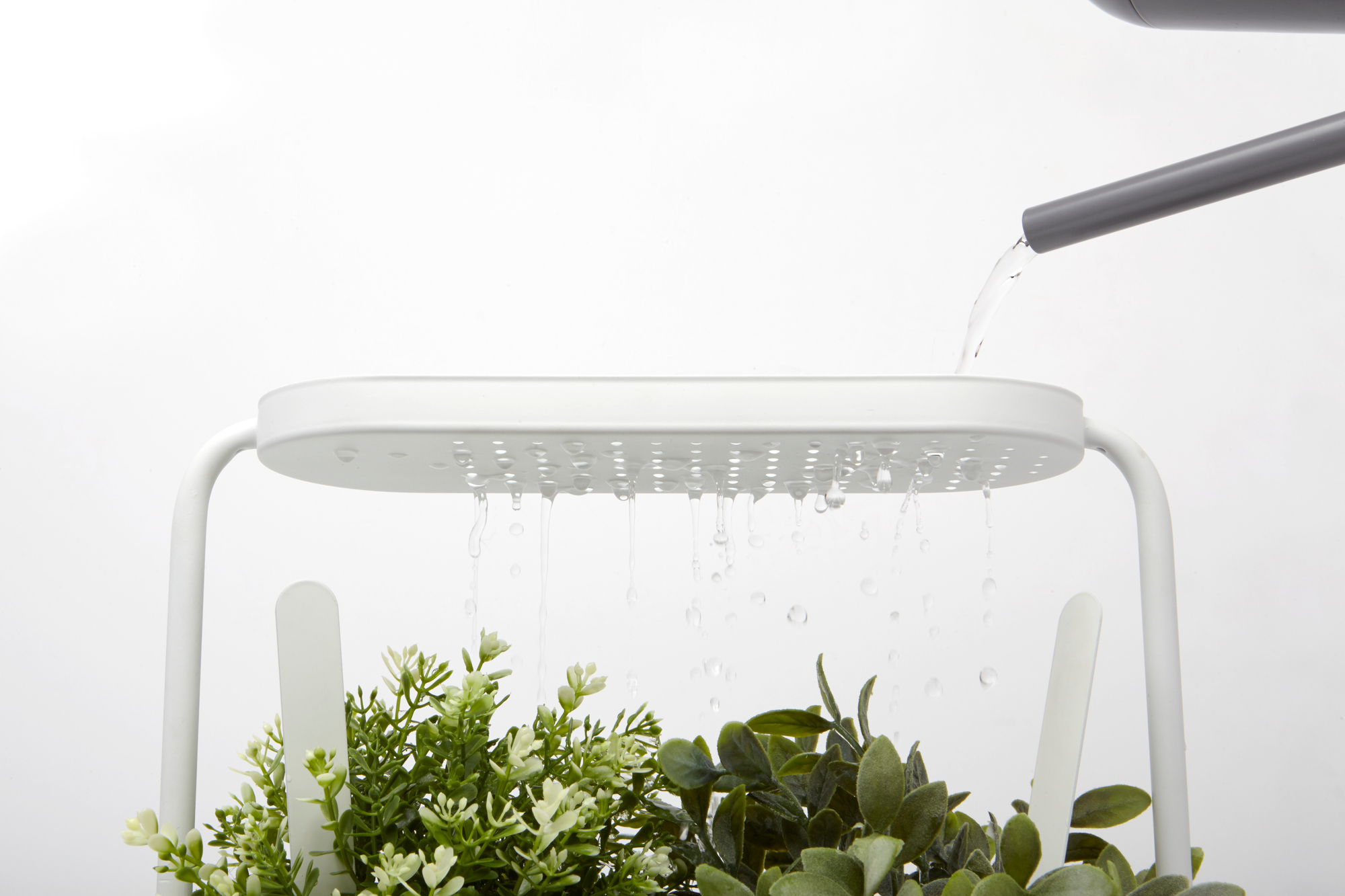 Giardino Planter Kräutertopf Umbra EINZELSTÜCK