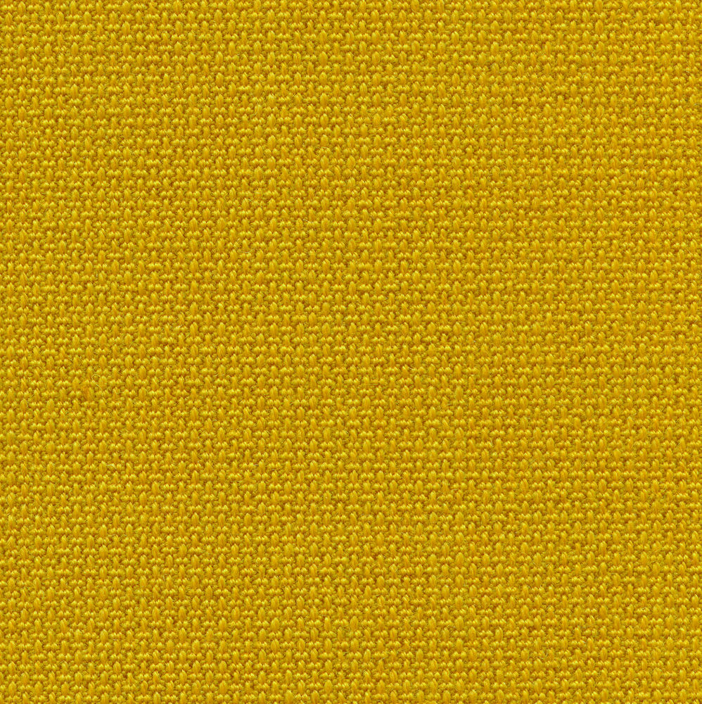 Volo canola yellow