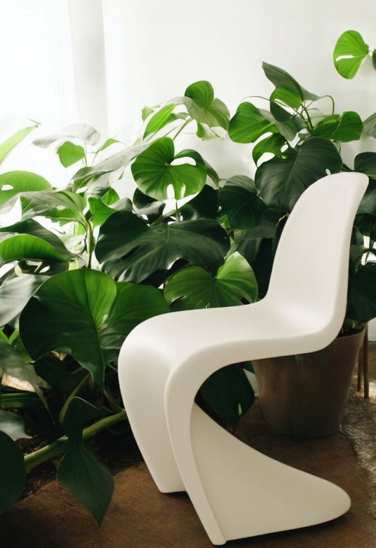 Panton Chair Kunststoff Stuhl Vitra NEUE HÖHE Beige