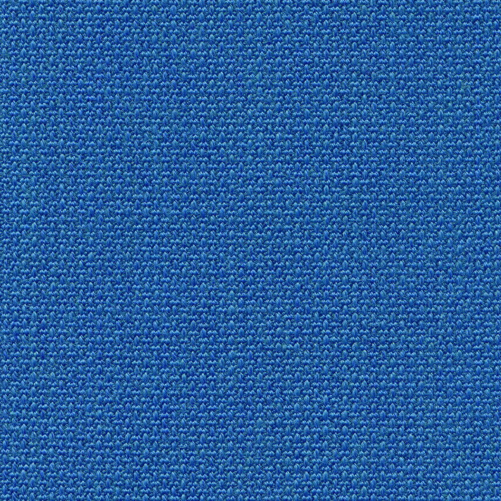 Volo indigo