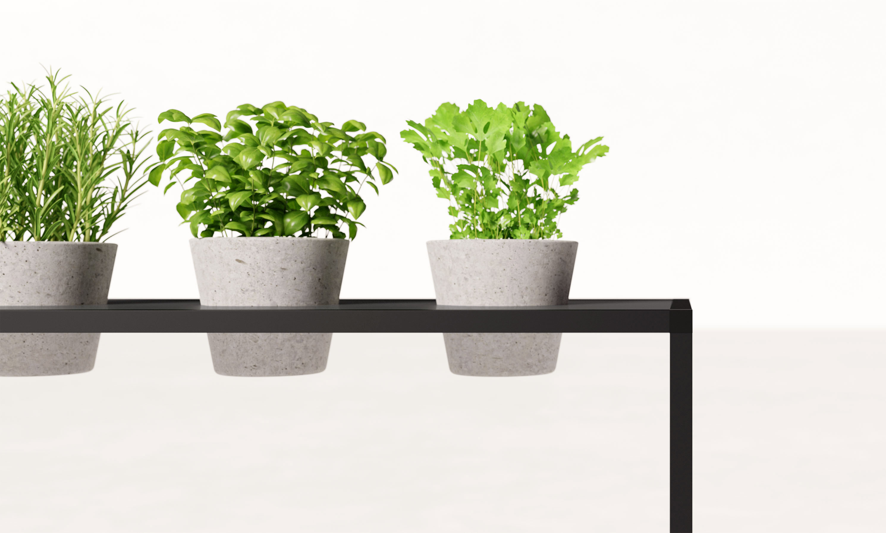 P4 Regal von Palmberg mit zwei Fächern, bestückt mit drei Kräutertöpfen. Dekoregal für Büro und Zuhause.