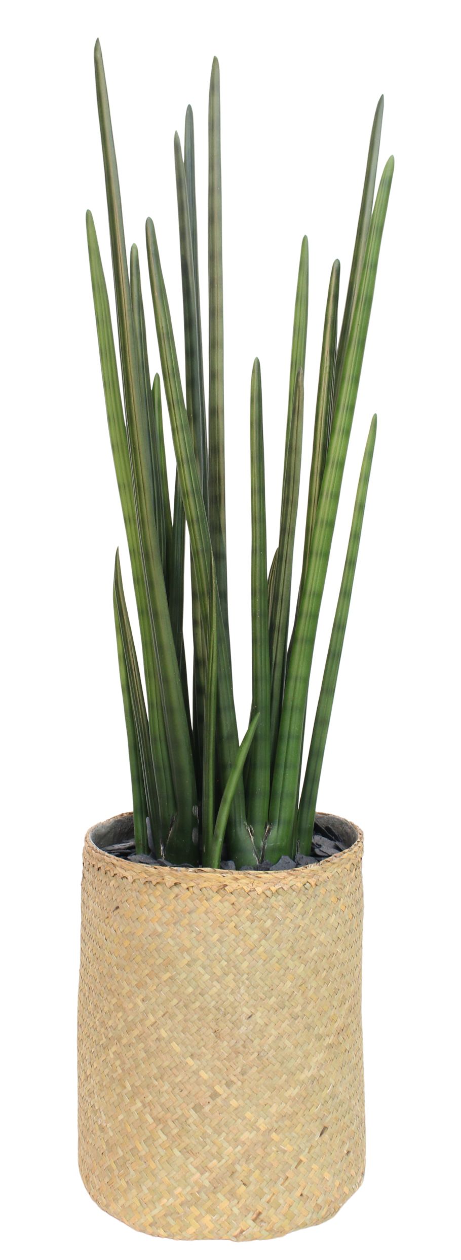 Nairobie Sansevieria Kunstpflanze im Korb: Dekorative Zimmerpflanze, pflegeleicht, für Wohnzimmer und Büro.