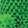 Cactus®