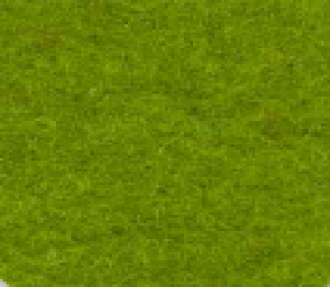 Grass