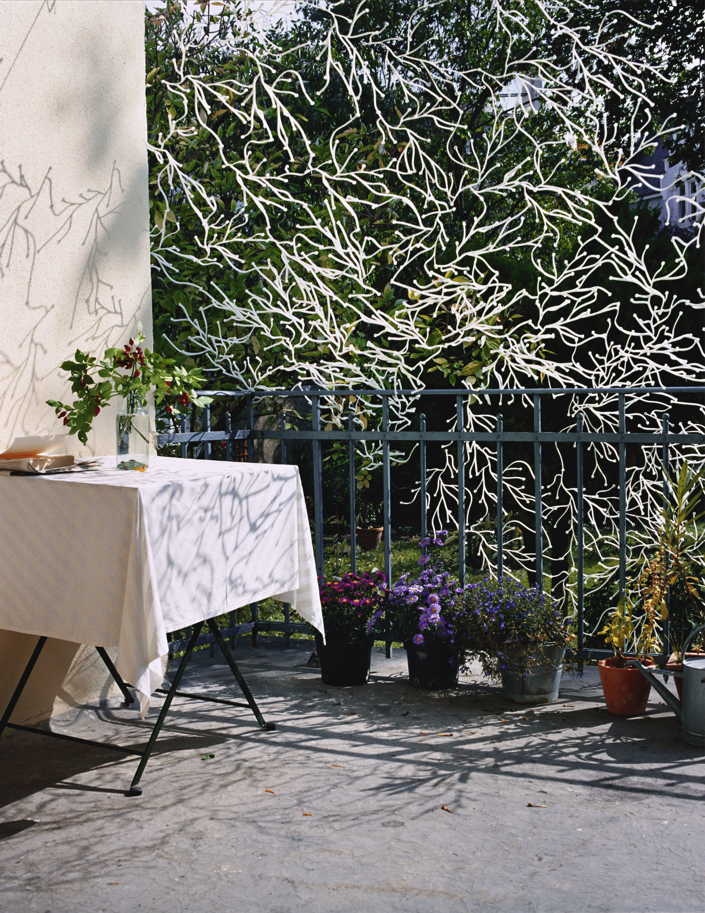 Algue Trennwand / Algen Dekoelemente Vitra