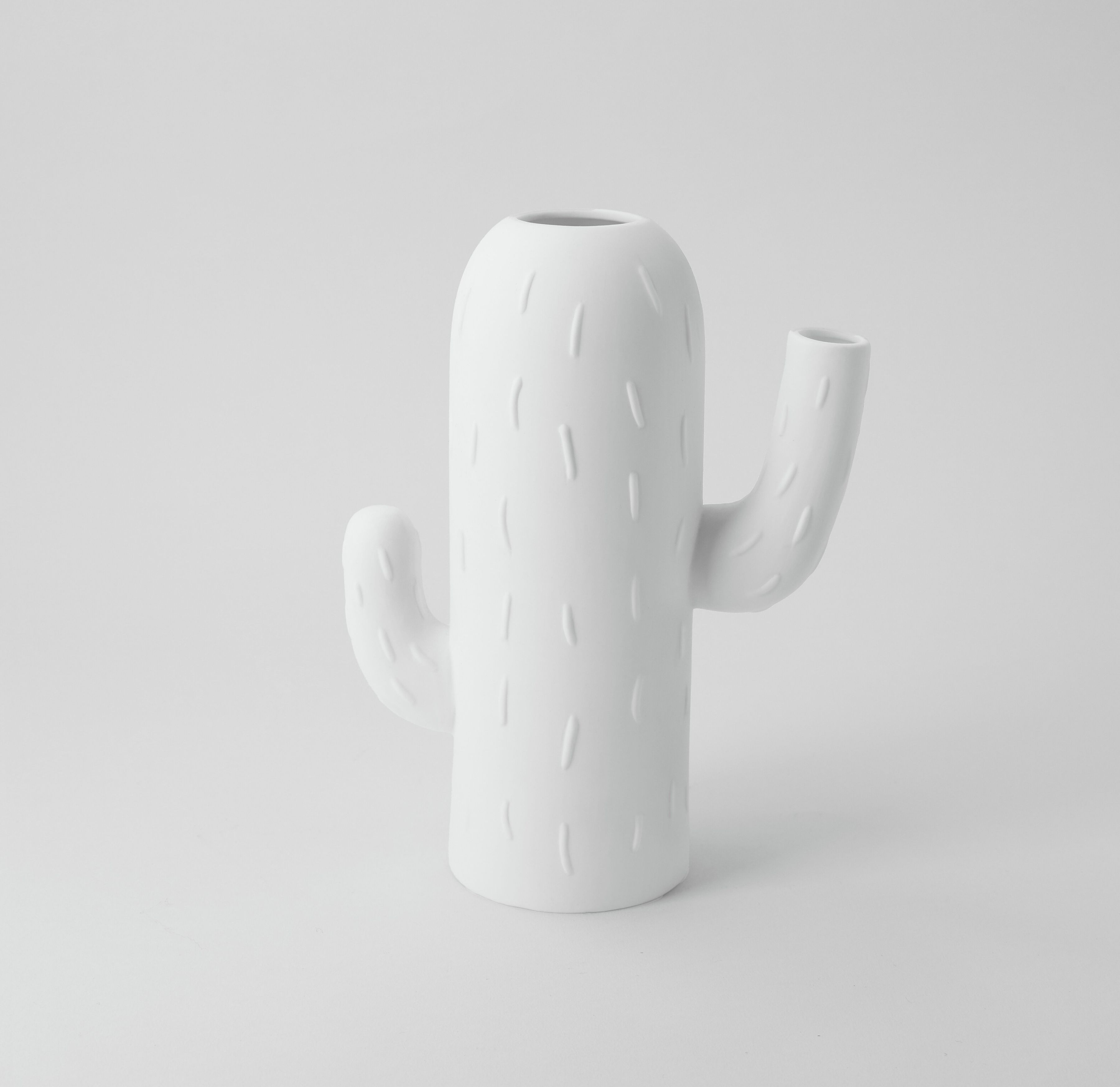 Kakteenvase Säulenkaktus Räder