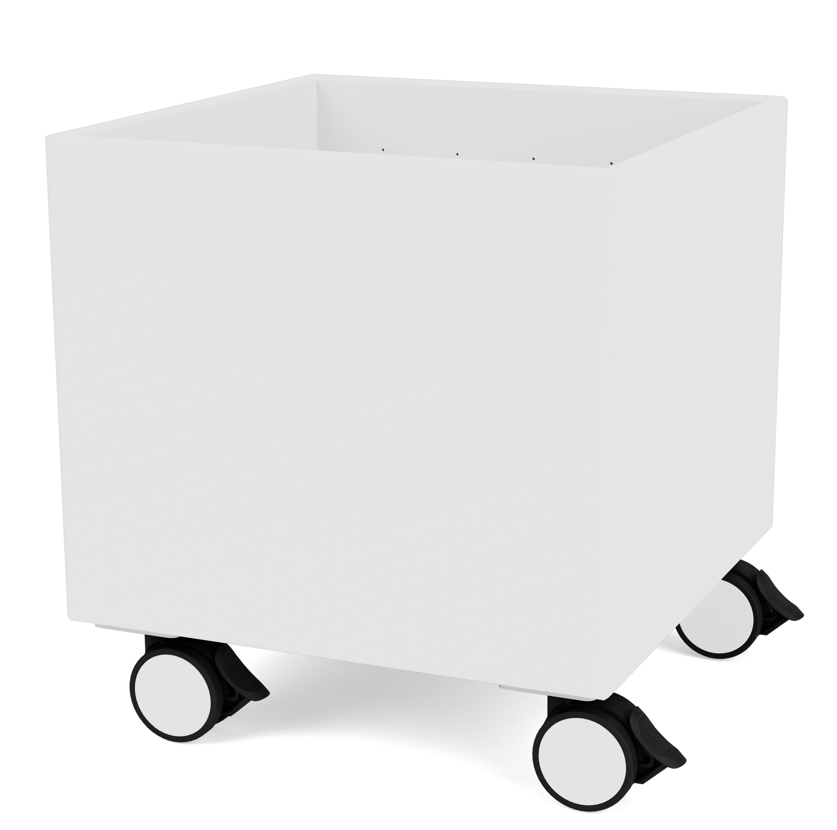 Colour Box I Aufbewahrunsbox auf Rollen Montana New White 101