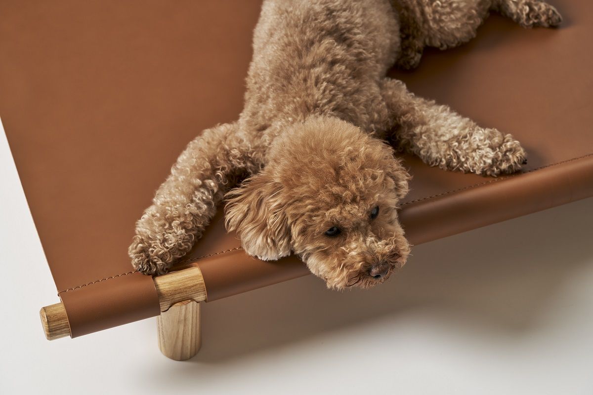 Berberé Transportable Dog bed Hundebett tragbar Opinion Ciatti