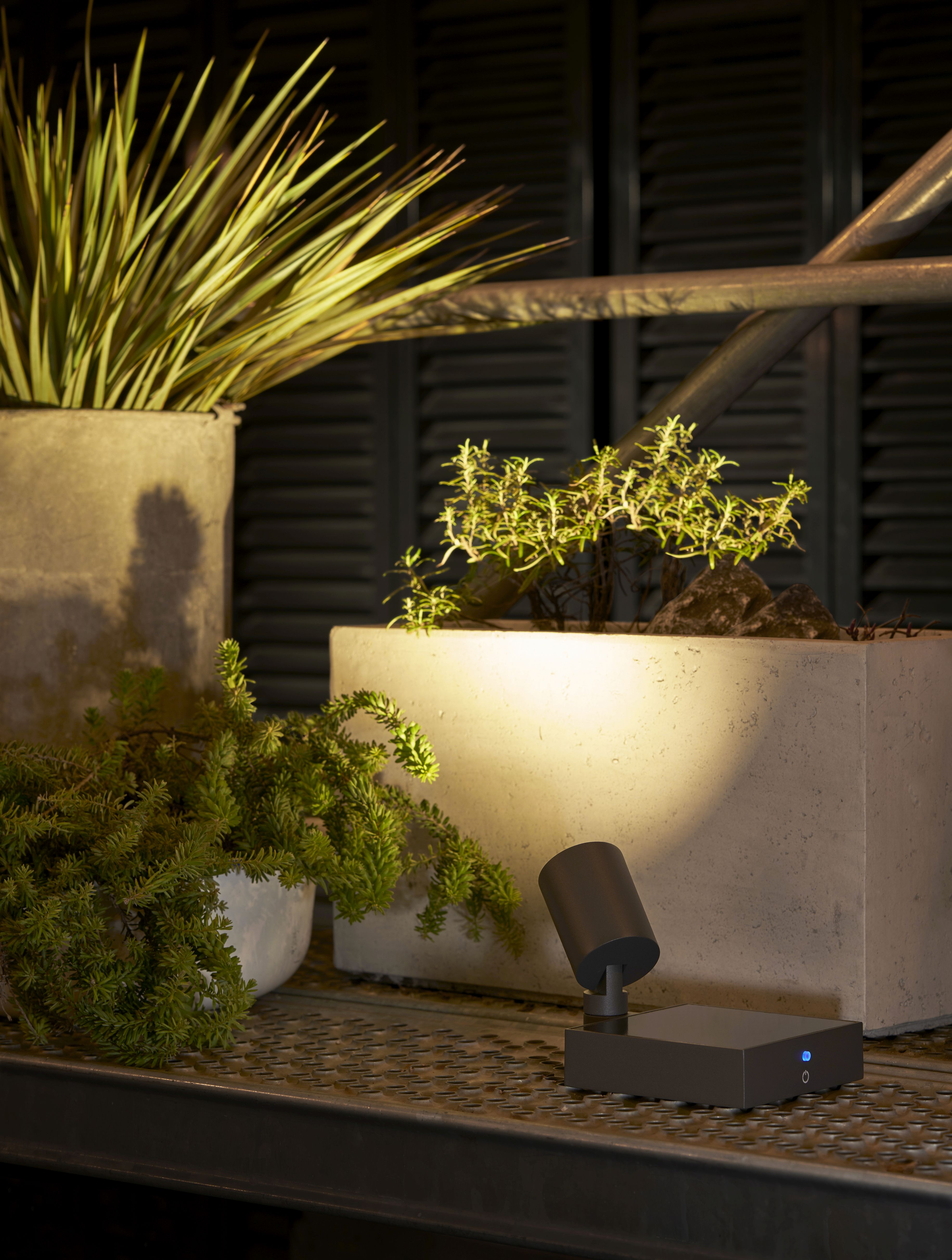 Spot.E Solar-Gartenstrahler Moree