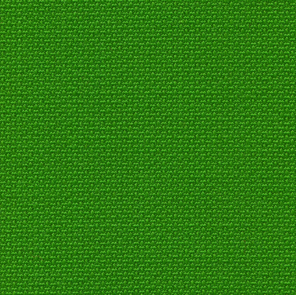 Volo fern green