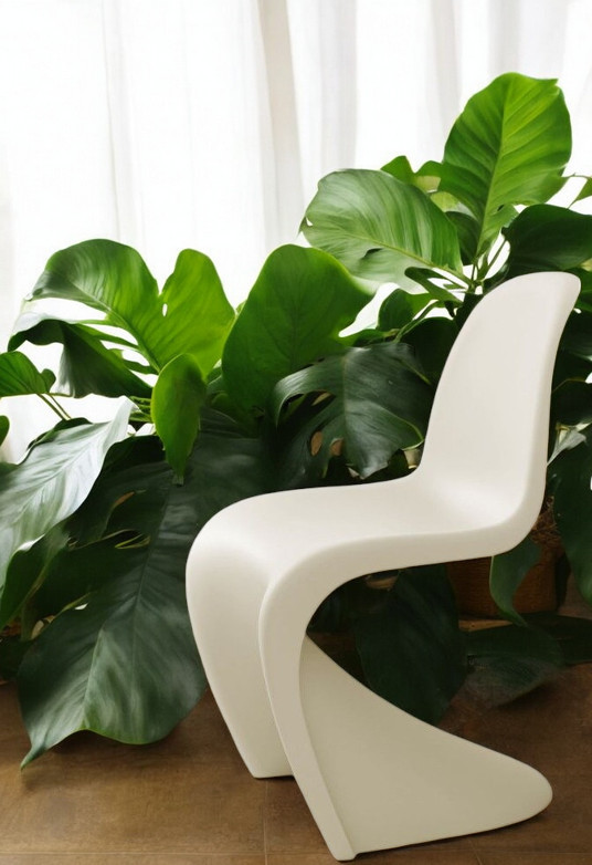 Panton Chair Kunststoff Stuhl Vitra NEUE HÖHE Beige