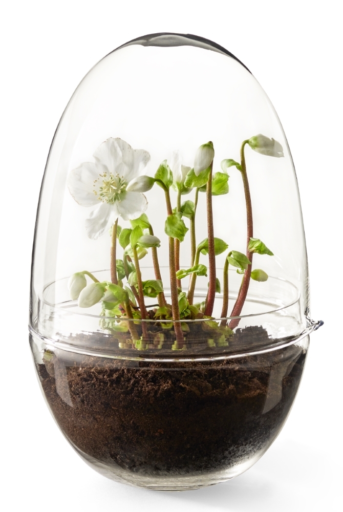 Grow XL Gewächshaus Design House Stockholm