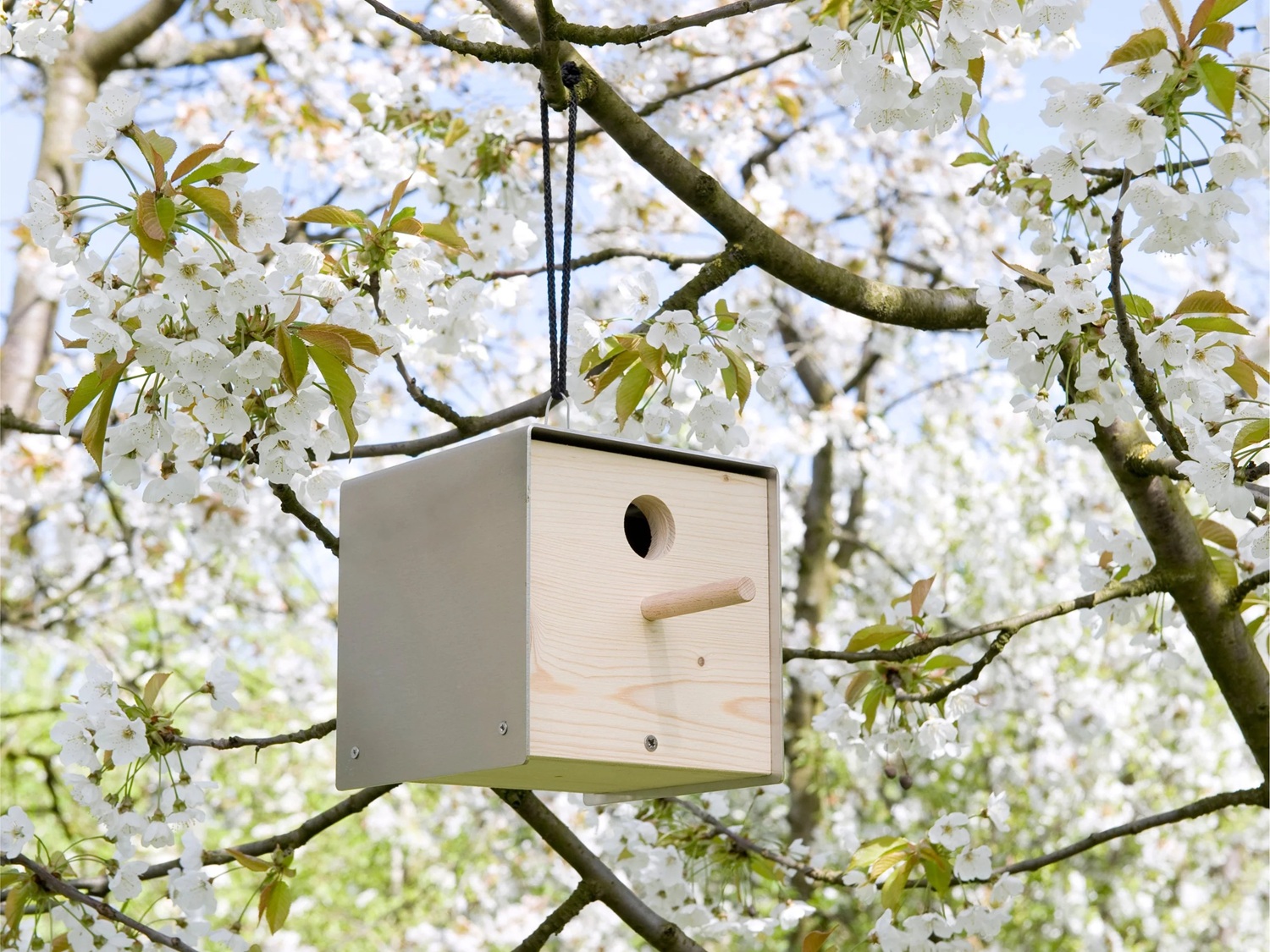 Twitter Nature Nistkaste Keilbach