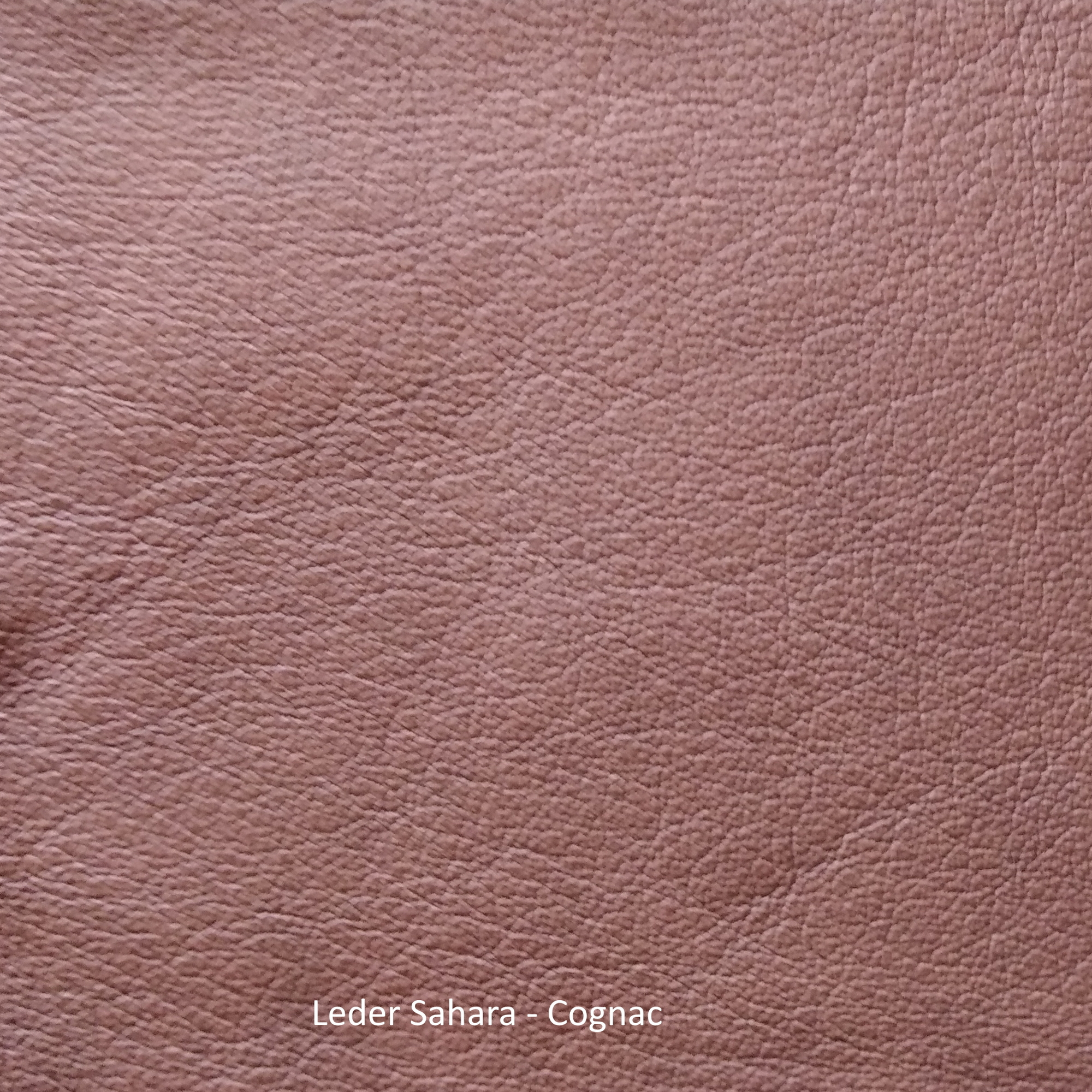 Ledermusterkarte Sahara Freifrau Manufaktur