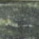 Hellgrün