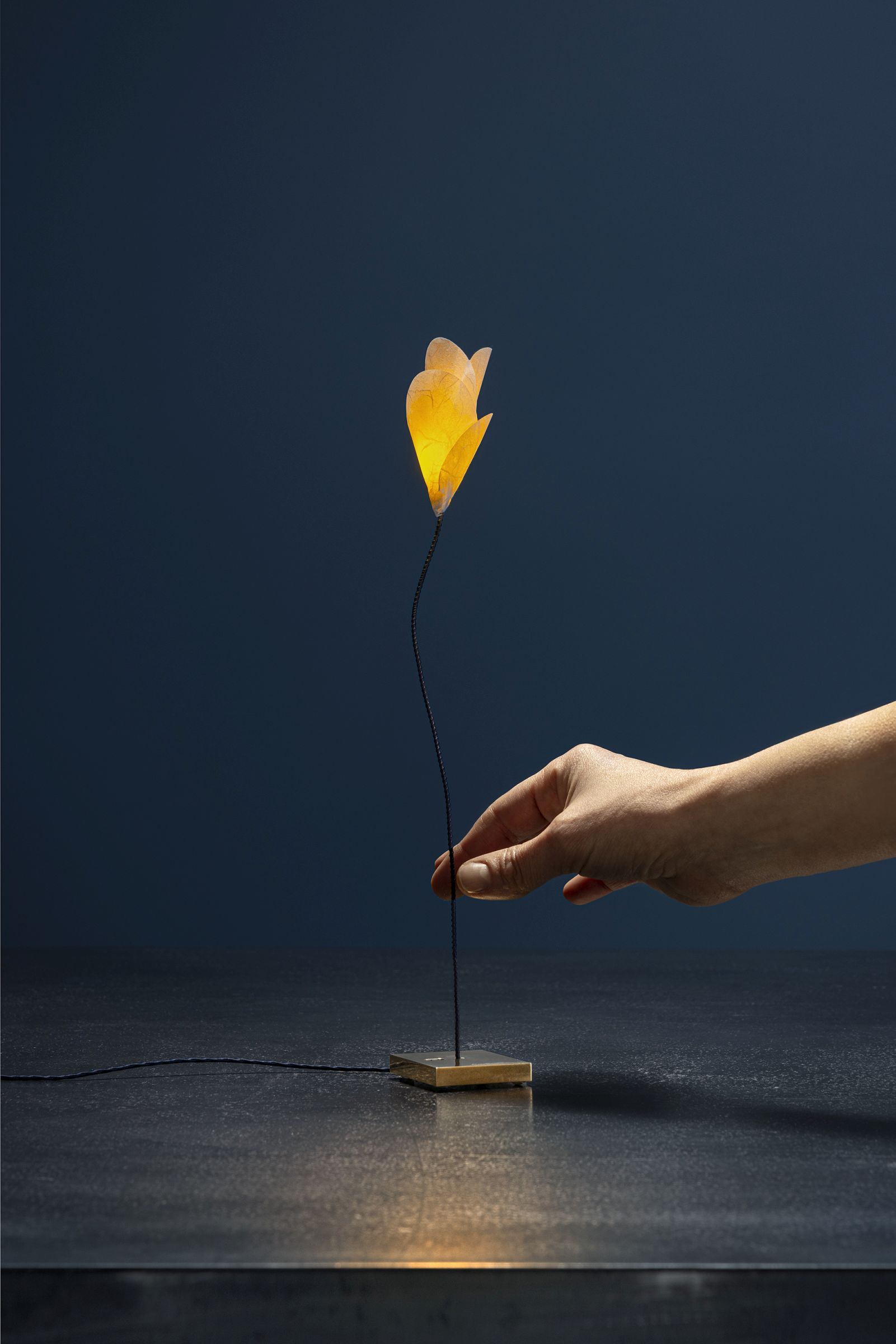For You USB Tischleuchte Catellani & Smith