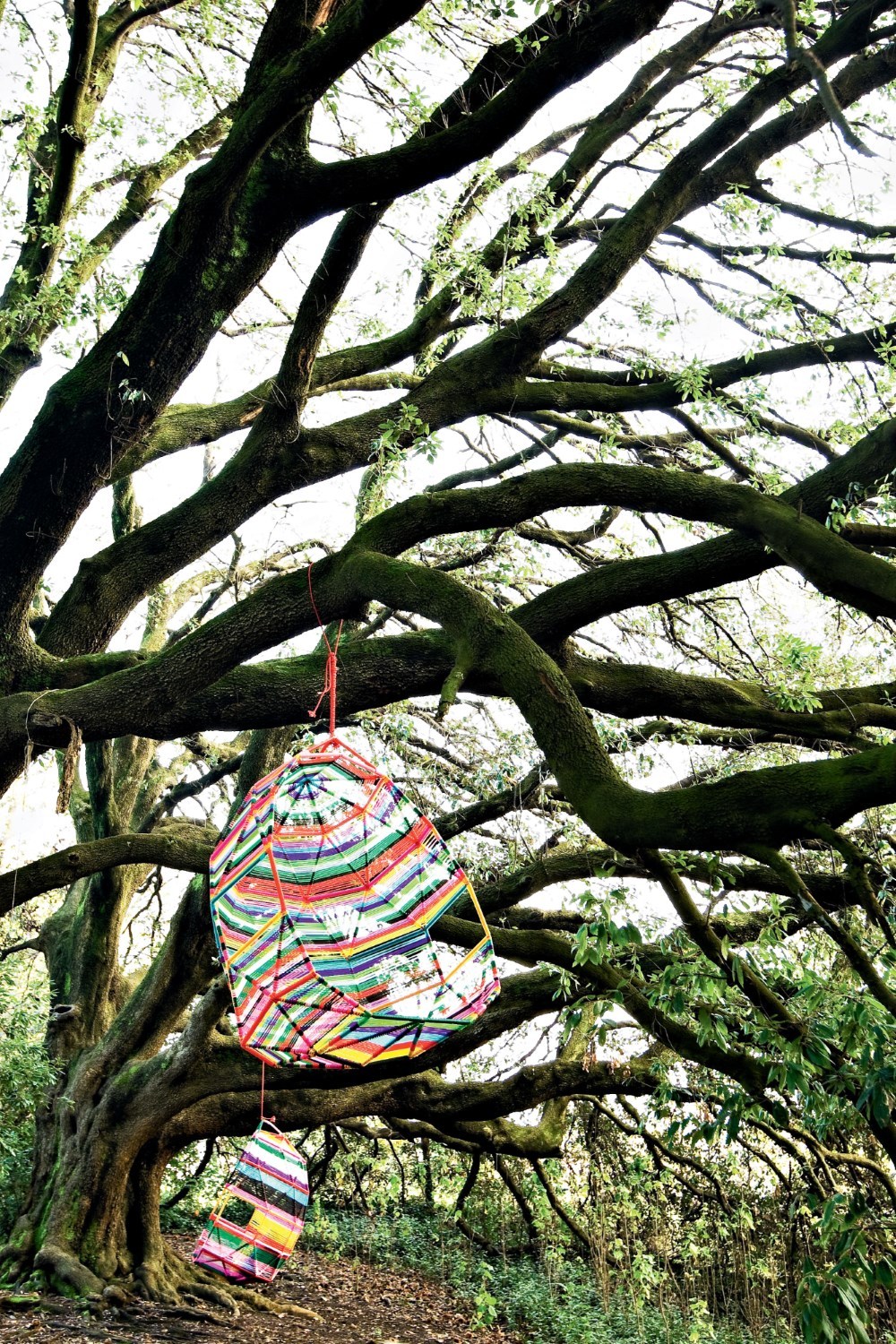 Tropicalia Cocoon Schwingsessel Moroso
