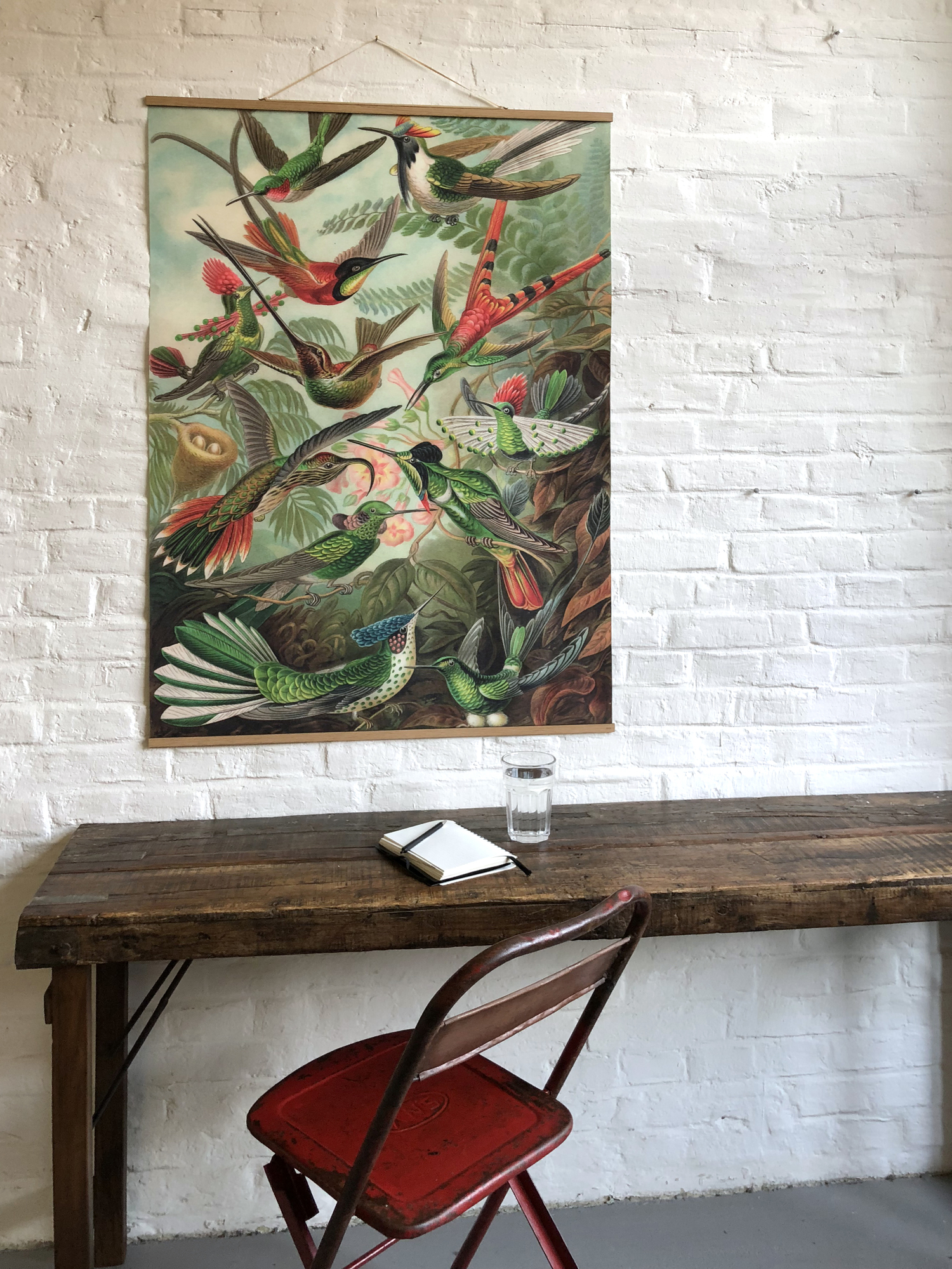 Flowers Poster eicie EINZELSTÜCK