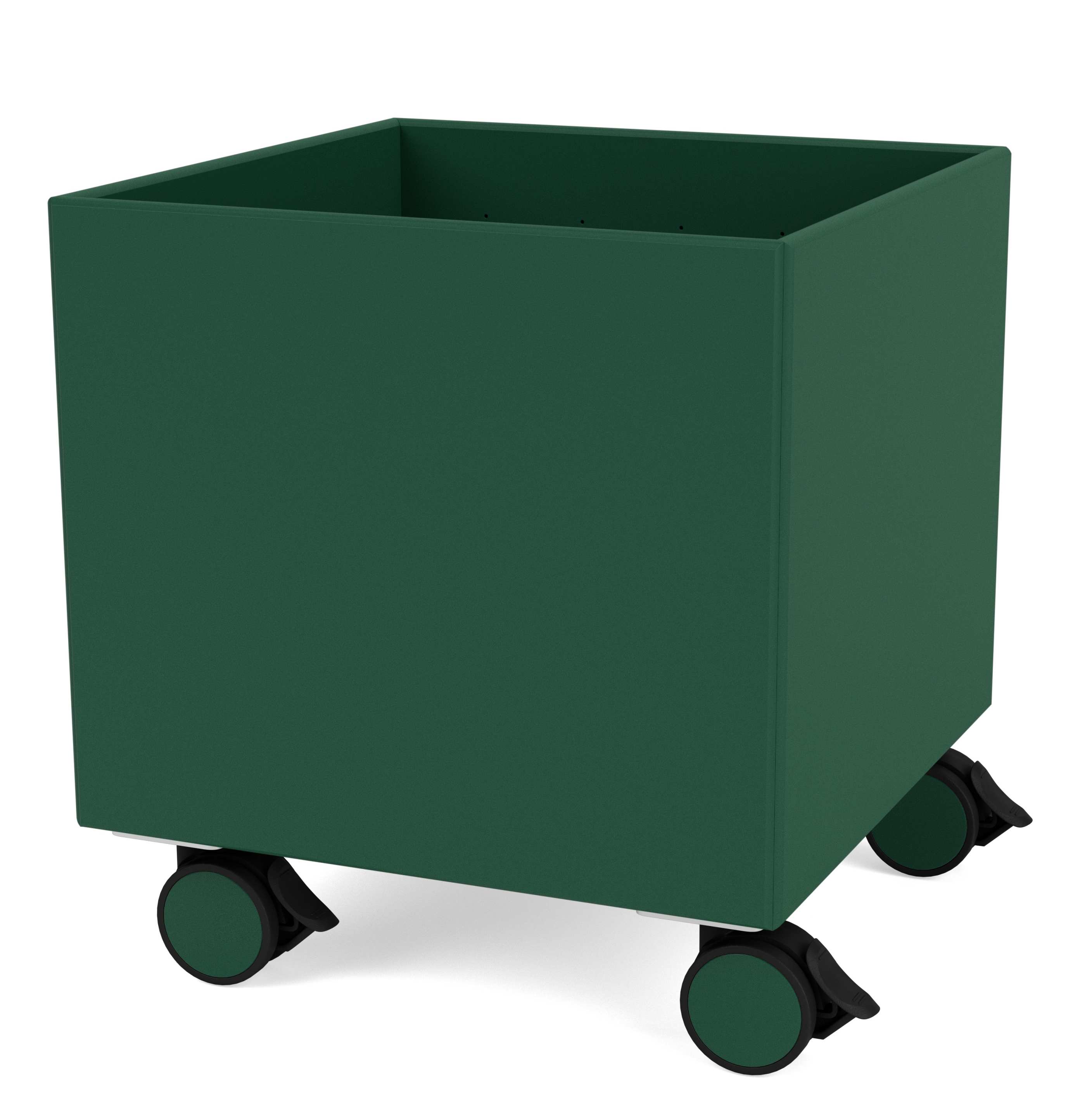 Colour Box I Aufbewahrunsbox auf Rollen Montana Pine 136