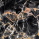 Marmor Nero Portoro
