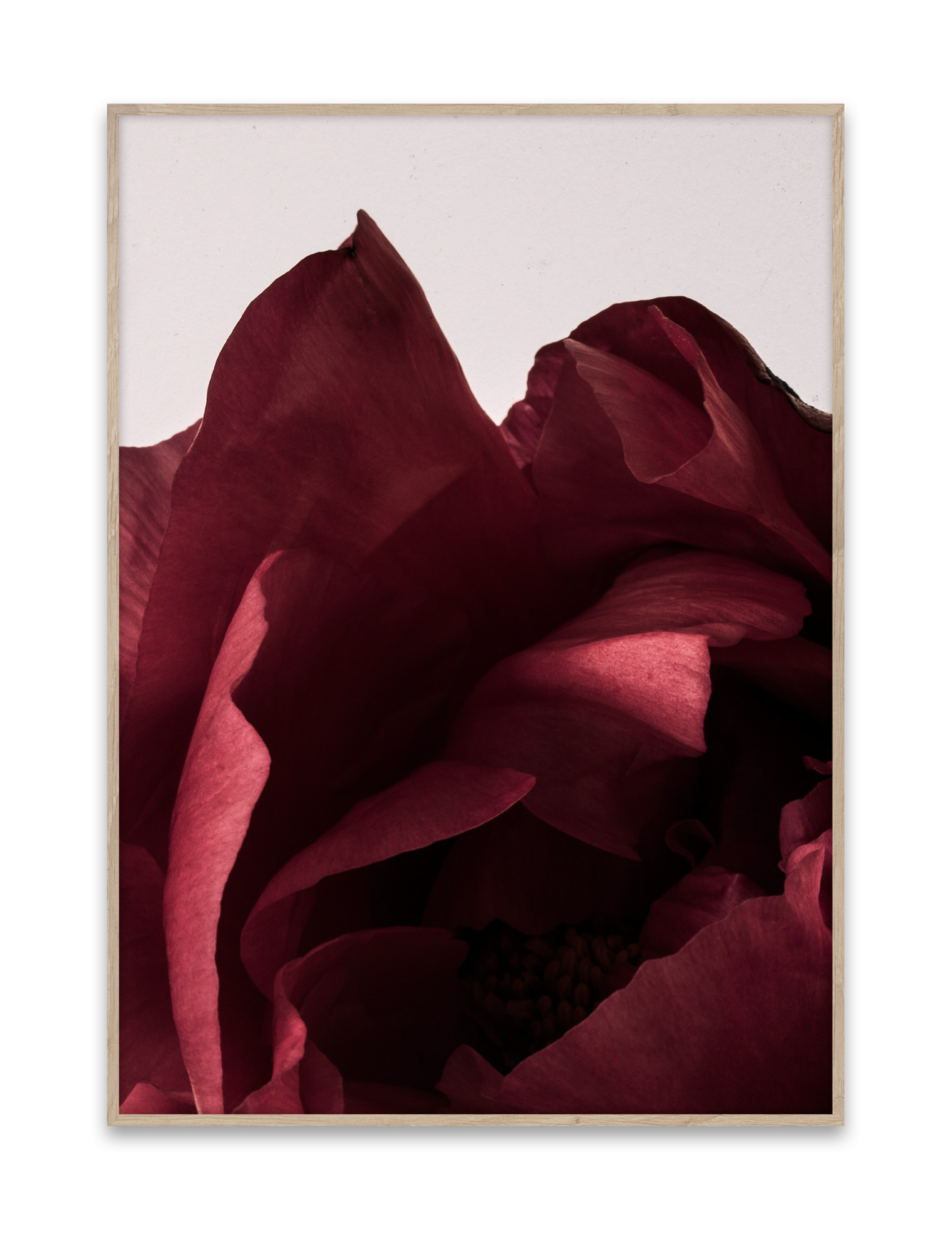 Peonia Poster Paper Collective EINZELSTÜCK