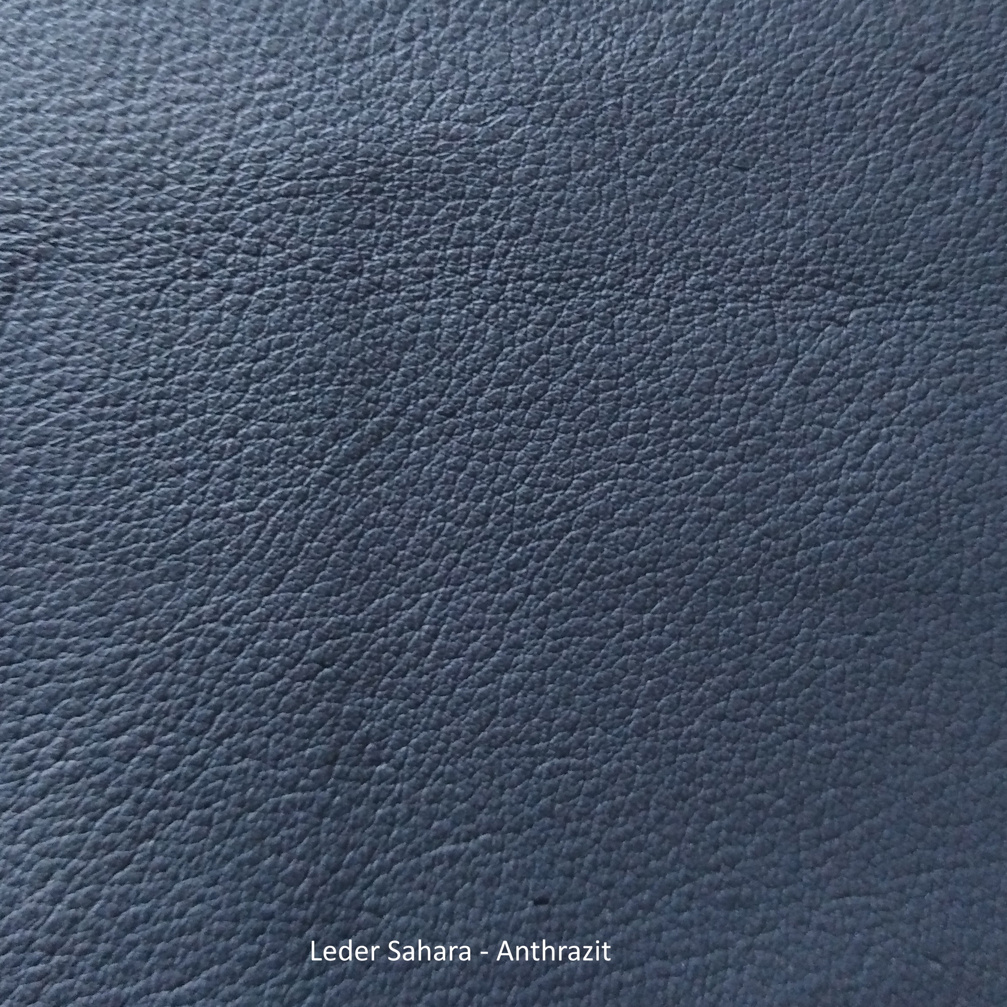 Ledermusterkarte Sahara Freifrau Manufaktur