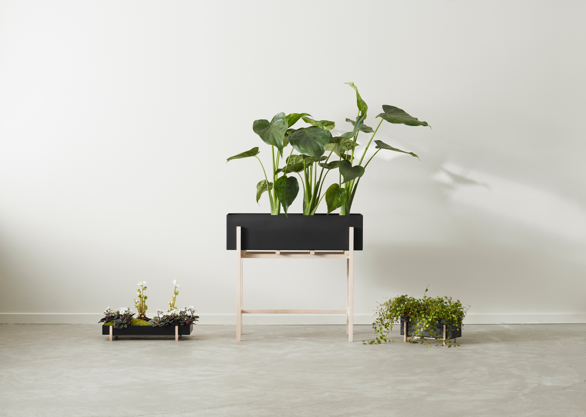 Botanic Kräuter-Box Design House Stockholm EINZELSTÜCK