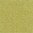 light olive