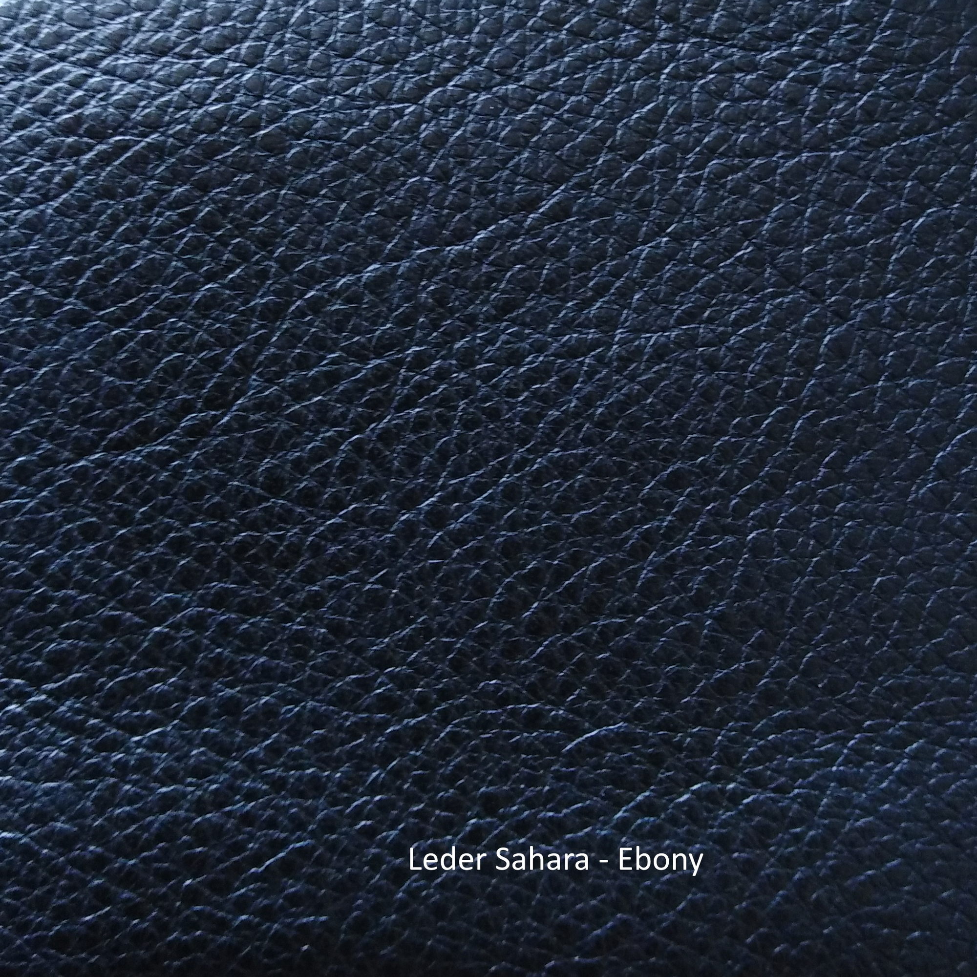 Ledermusterkarte Sahara Freifrau Manufaktur