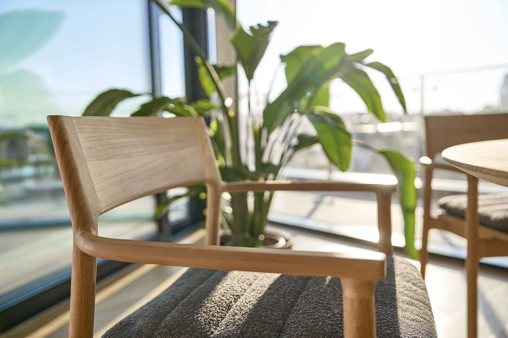 Teva Sessel Weishäupl