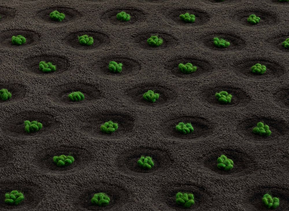 La Geria-Lanzarote Rug Teppich rechteckig Gan 