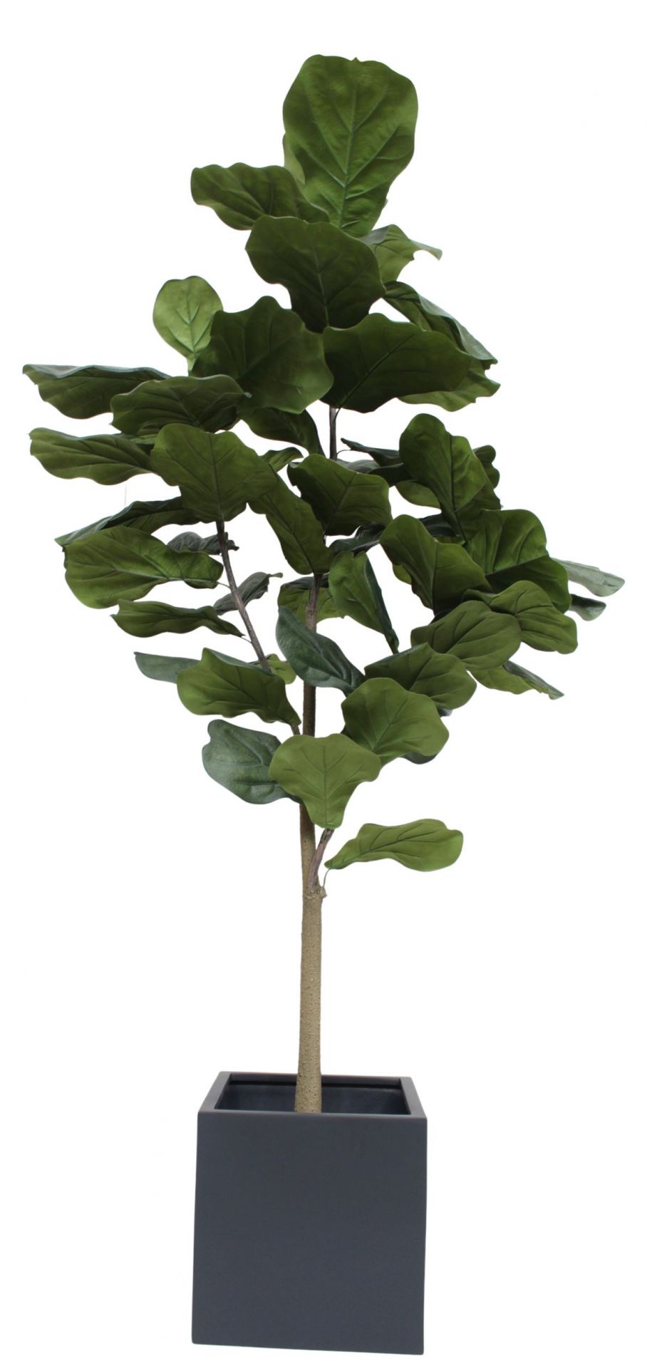 Taiga Lyrata Tree (Lyrata Baum) Kunstpflanze Tanaman   