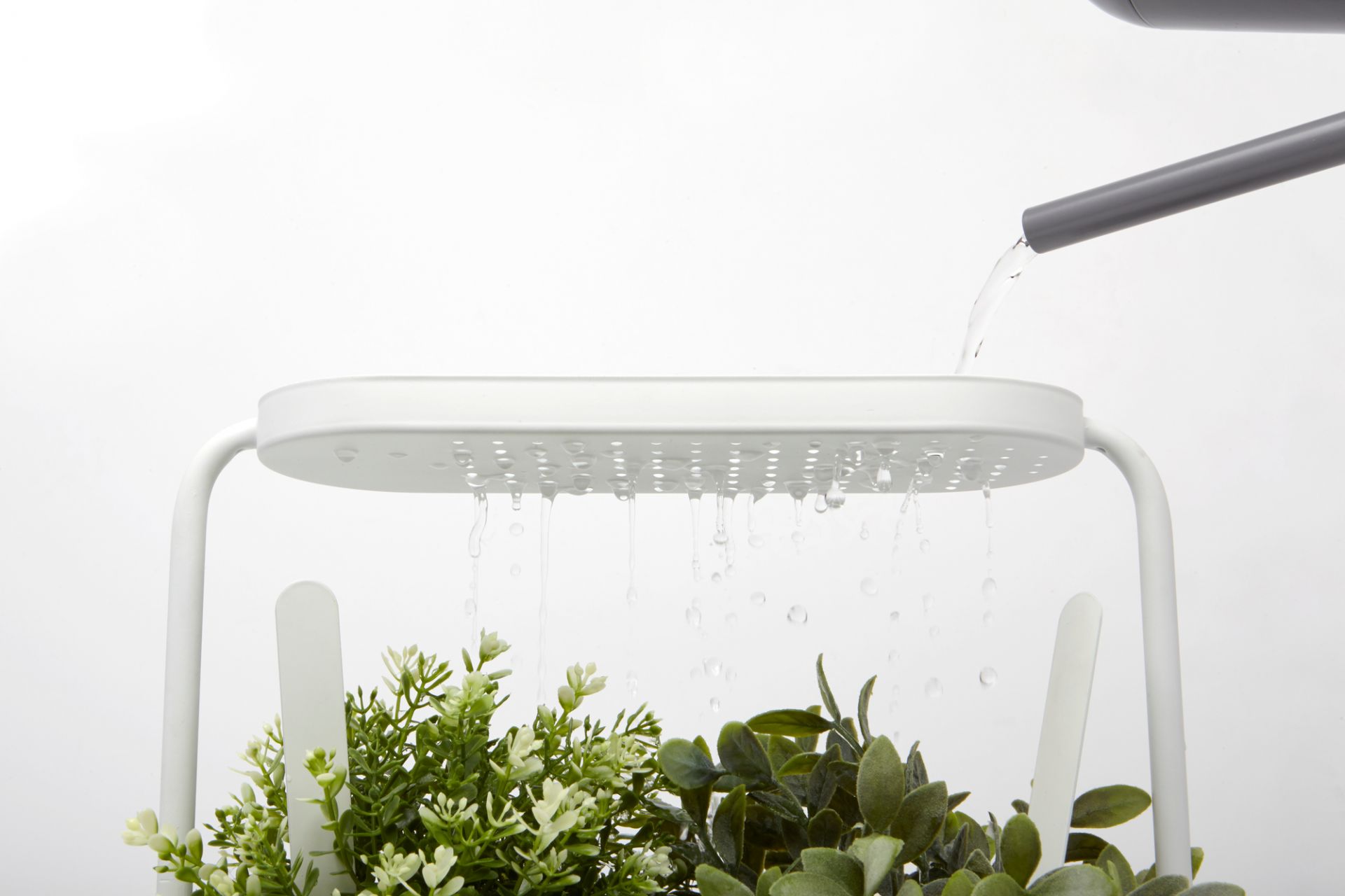 Giardino Planter Kräutertopf Umbra EINZELSTÜCK