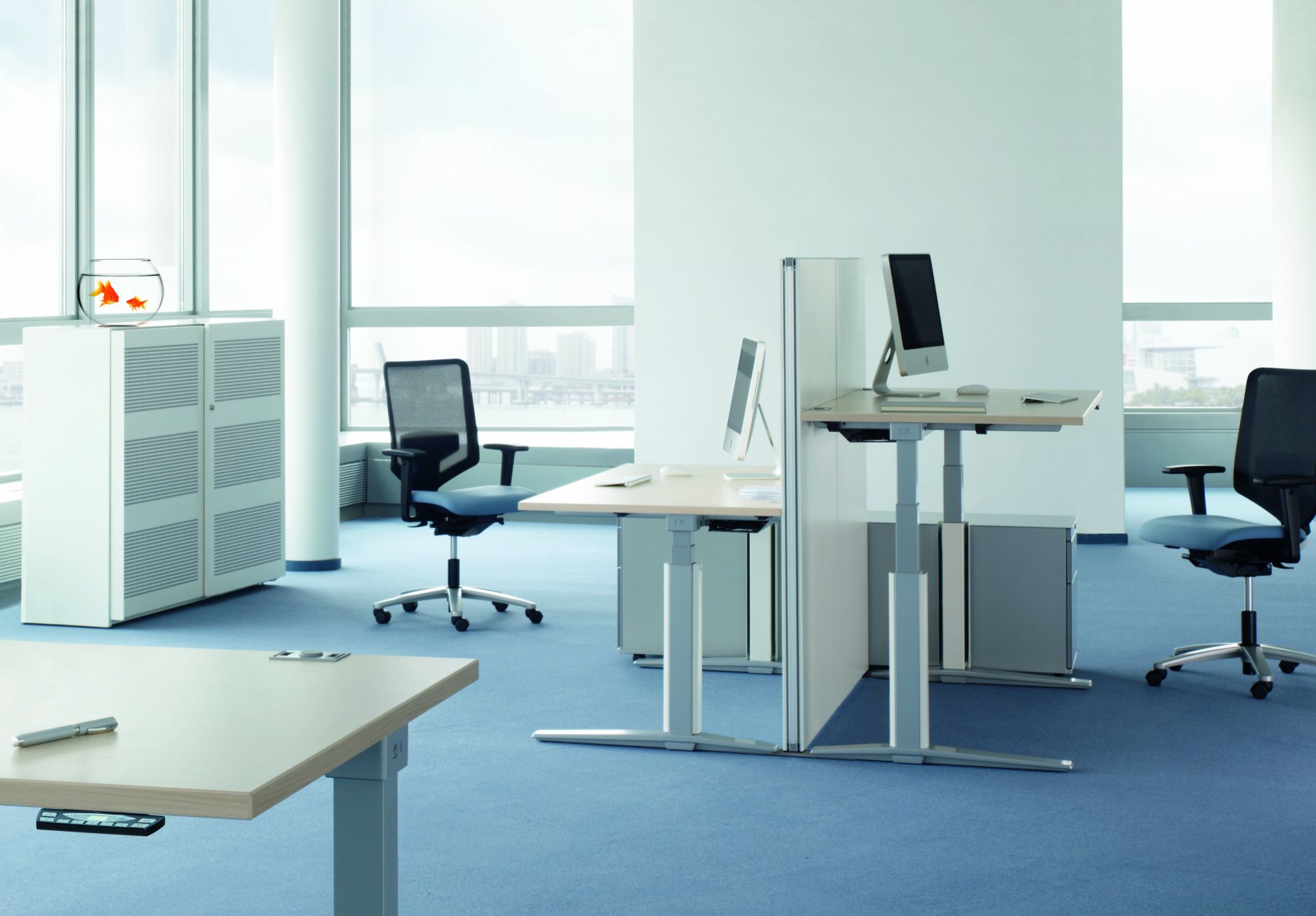 Büro mit höhenverstellbaren TALO.S Schreibtischen von König+Neurath, Bürostühlen, Aktenschränken und Goldfischen in einer Büroumgebung.