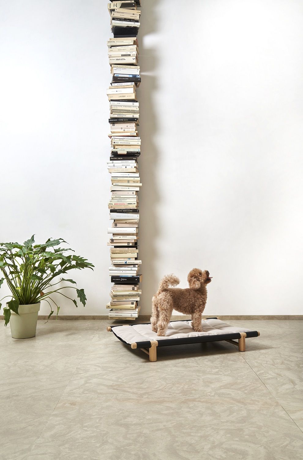 Kissen mit Bezug für Berberé Transportable Dog bed Hundebett Opinion Ciatti