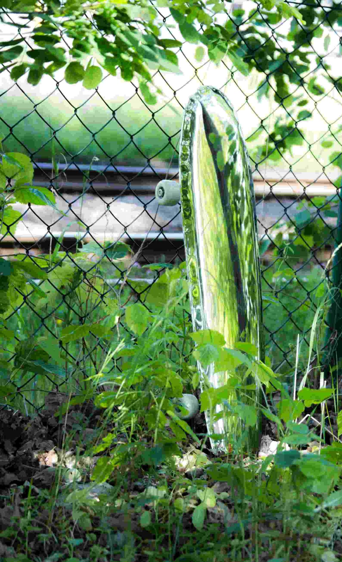 Bolid Spiegel Zieta