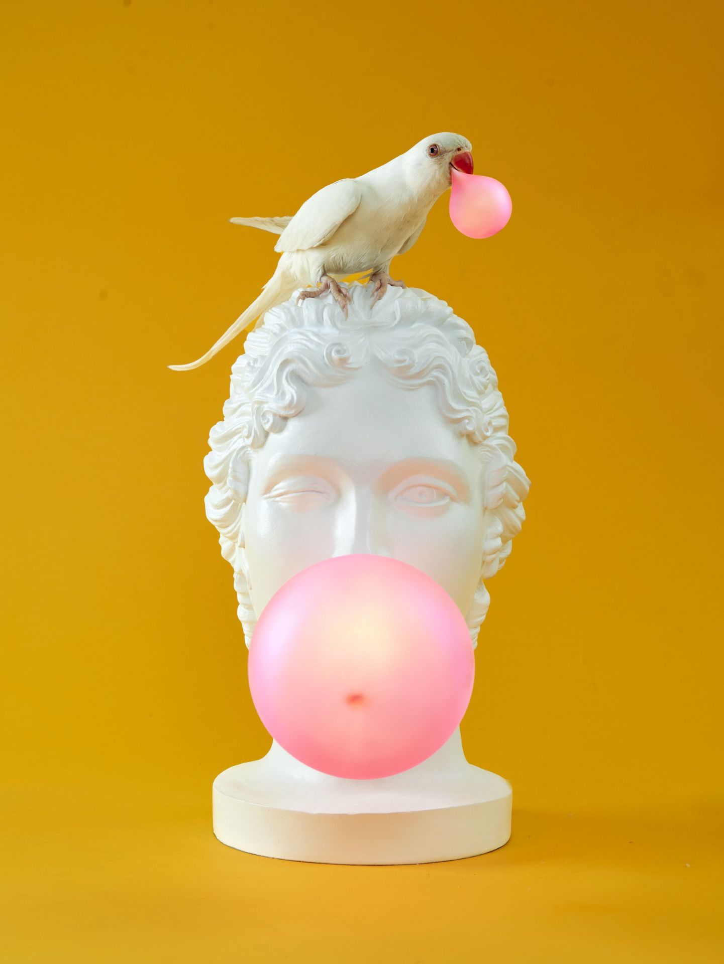 Grace Lamp Tischleuchte Seletti 