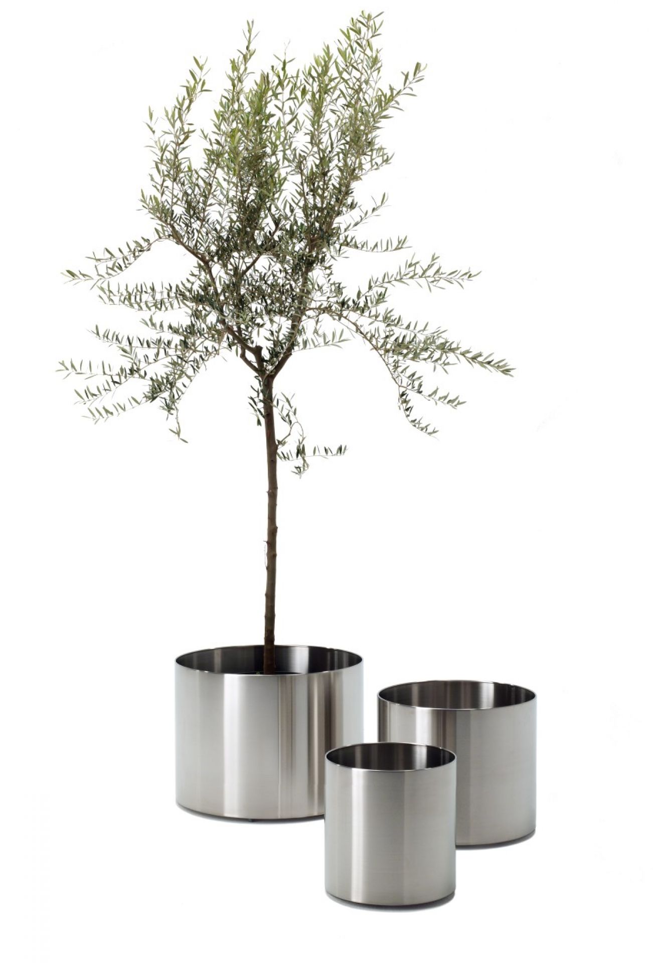 Nox Flora Blumentopf auf Rollen Rexite