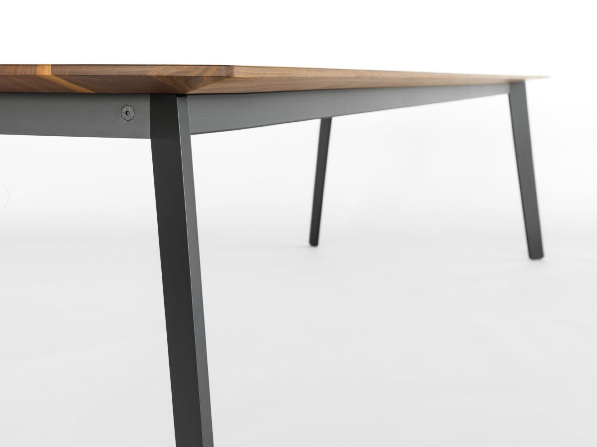 Linar Tisch Girsberger