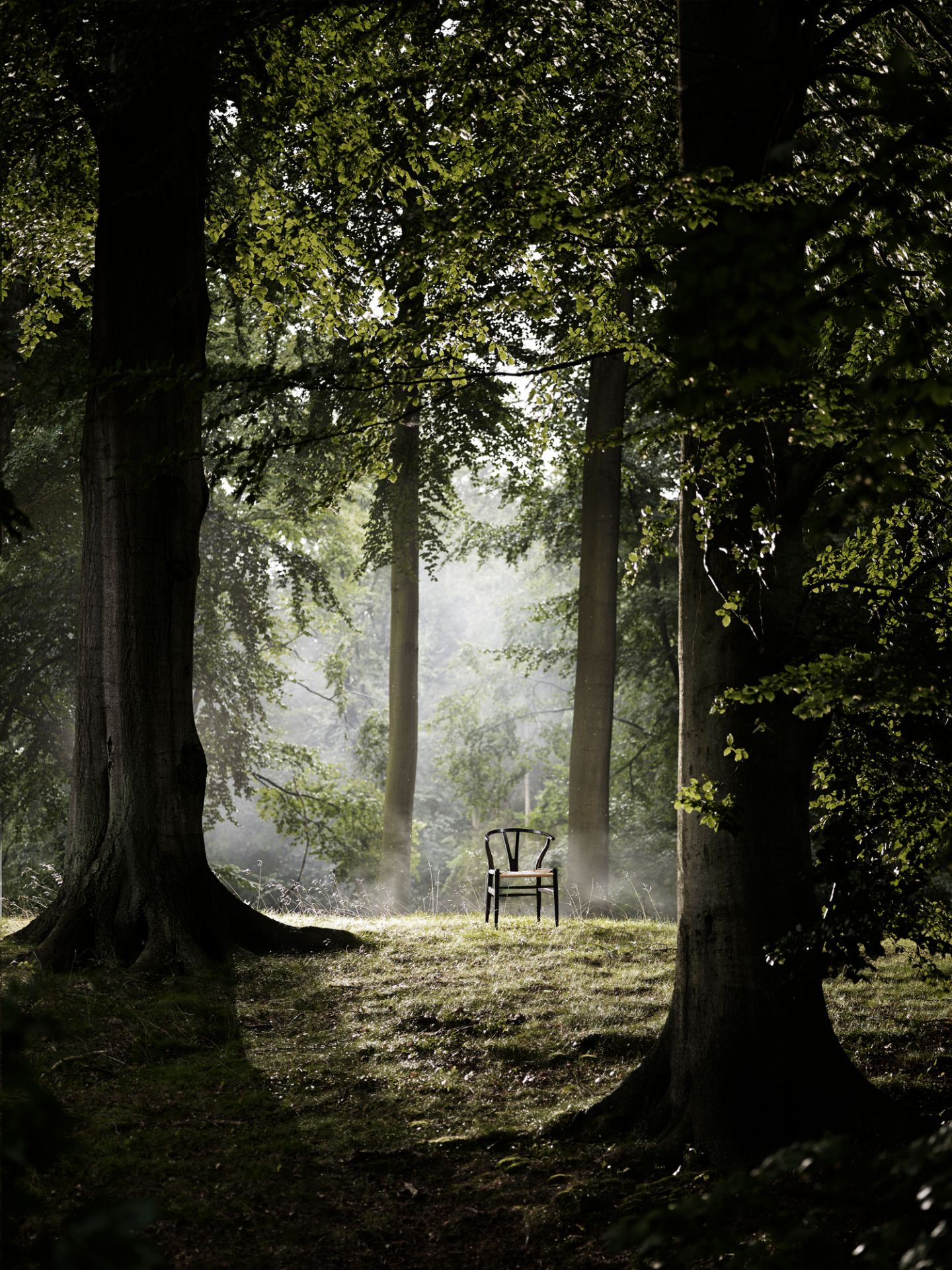 CH24 Wishbone Chair / Y-Chair Stuhl Carl Hansen & Søn