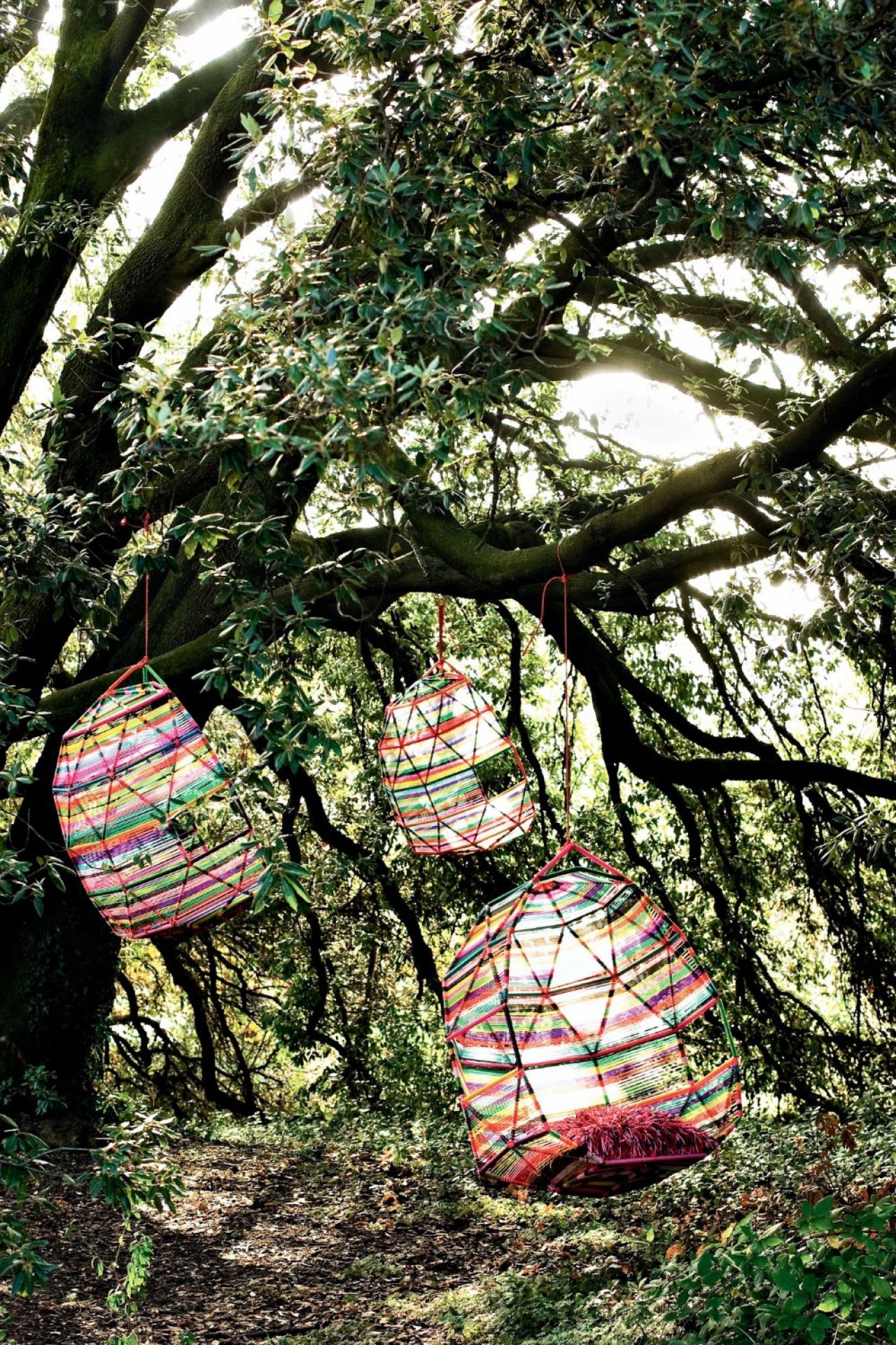 Tropicalia Cocoon Schwingsessel Moroso