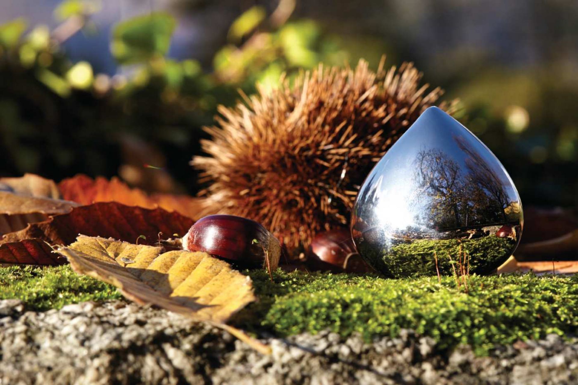 CHB01 Chestnut Pillendose Alessi