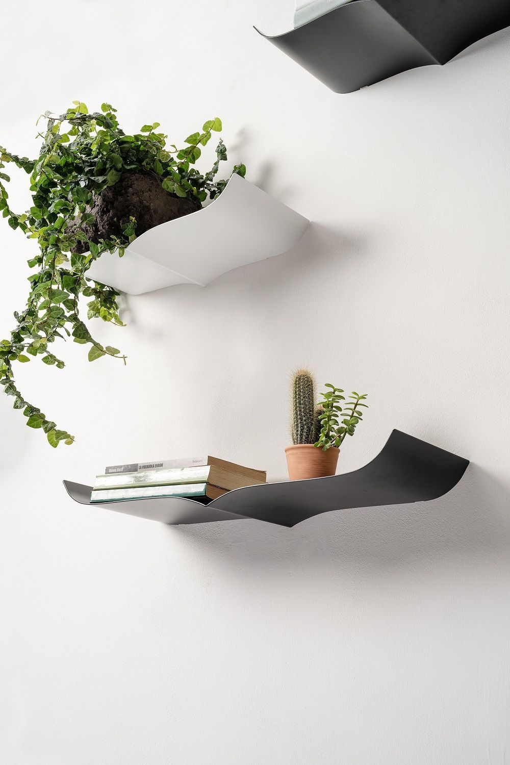 Nori Wall shelf Wandregal Opinion Ciatti 
