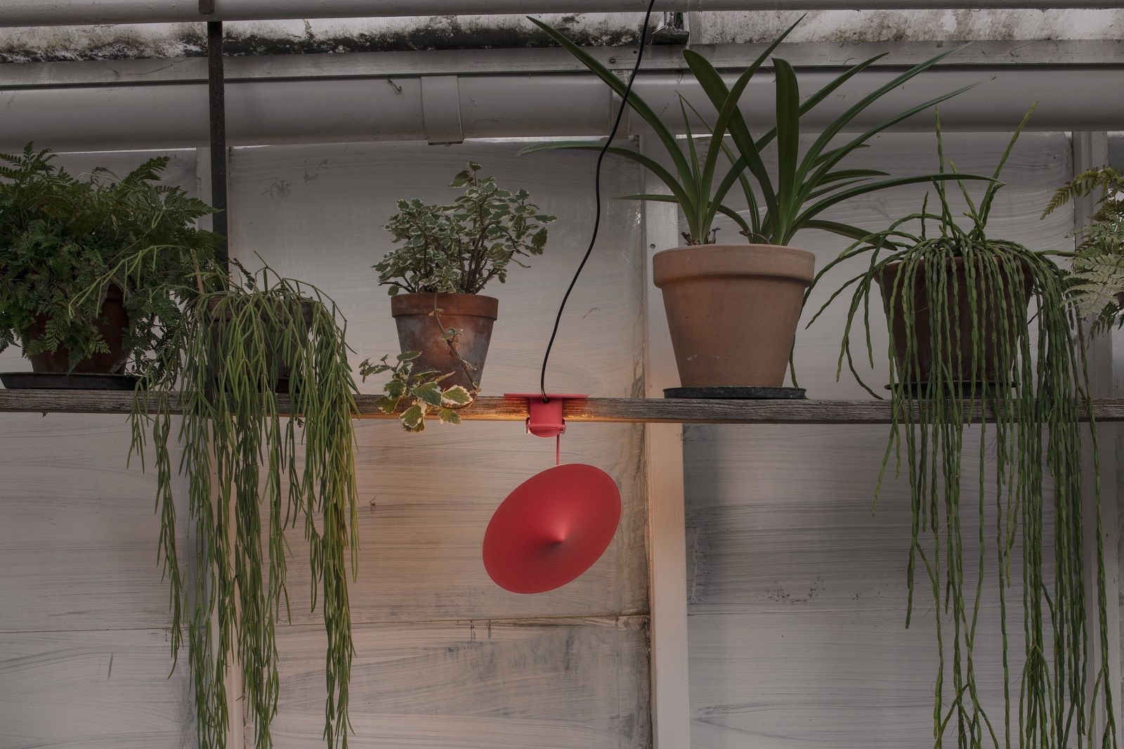 w153 Île Klemmleuchte / Leseleuchte wästberg