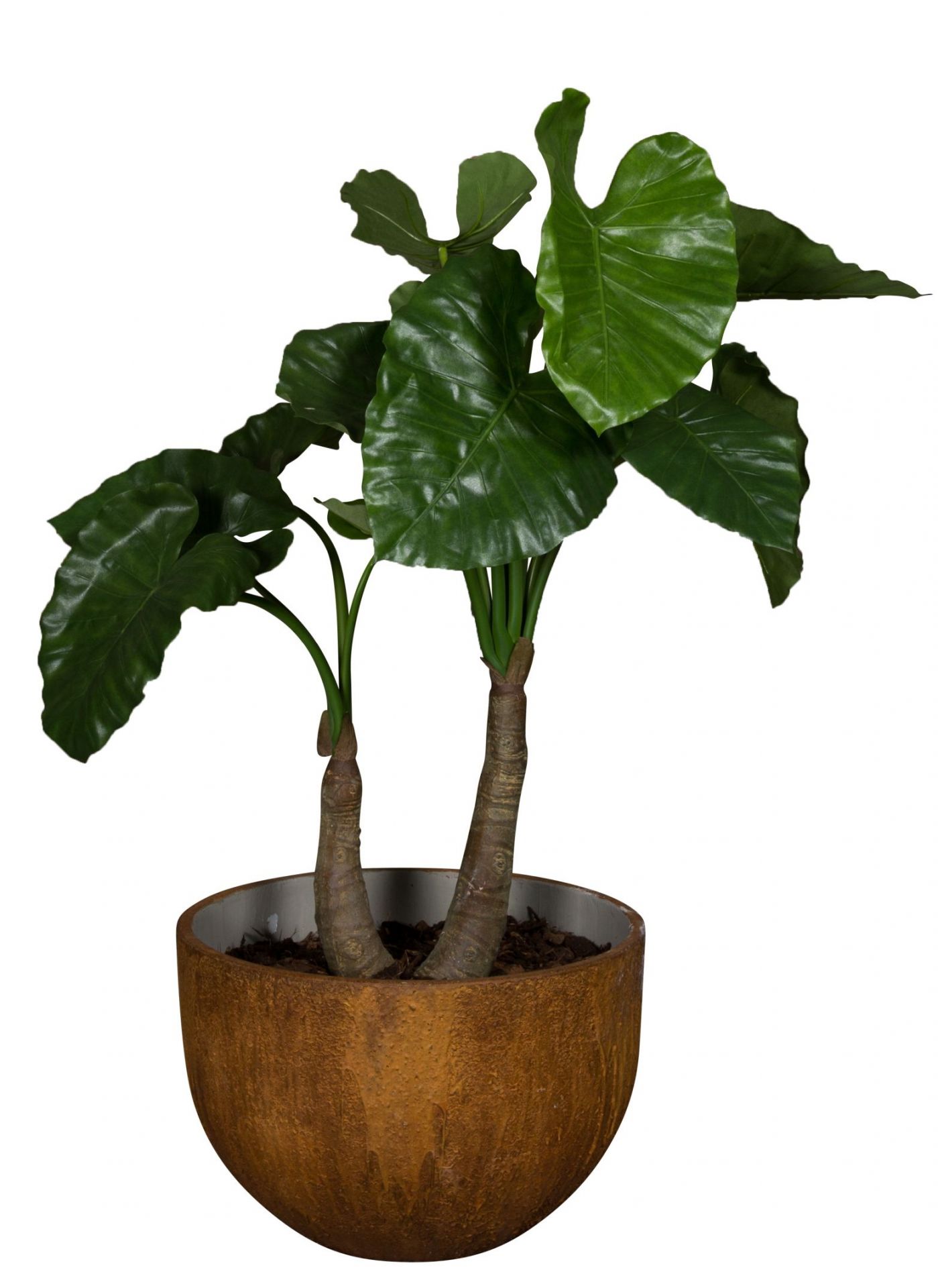 Medewi Alocasia 120 (Akasien) Kunstpflanze Tanaman    